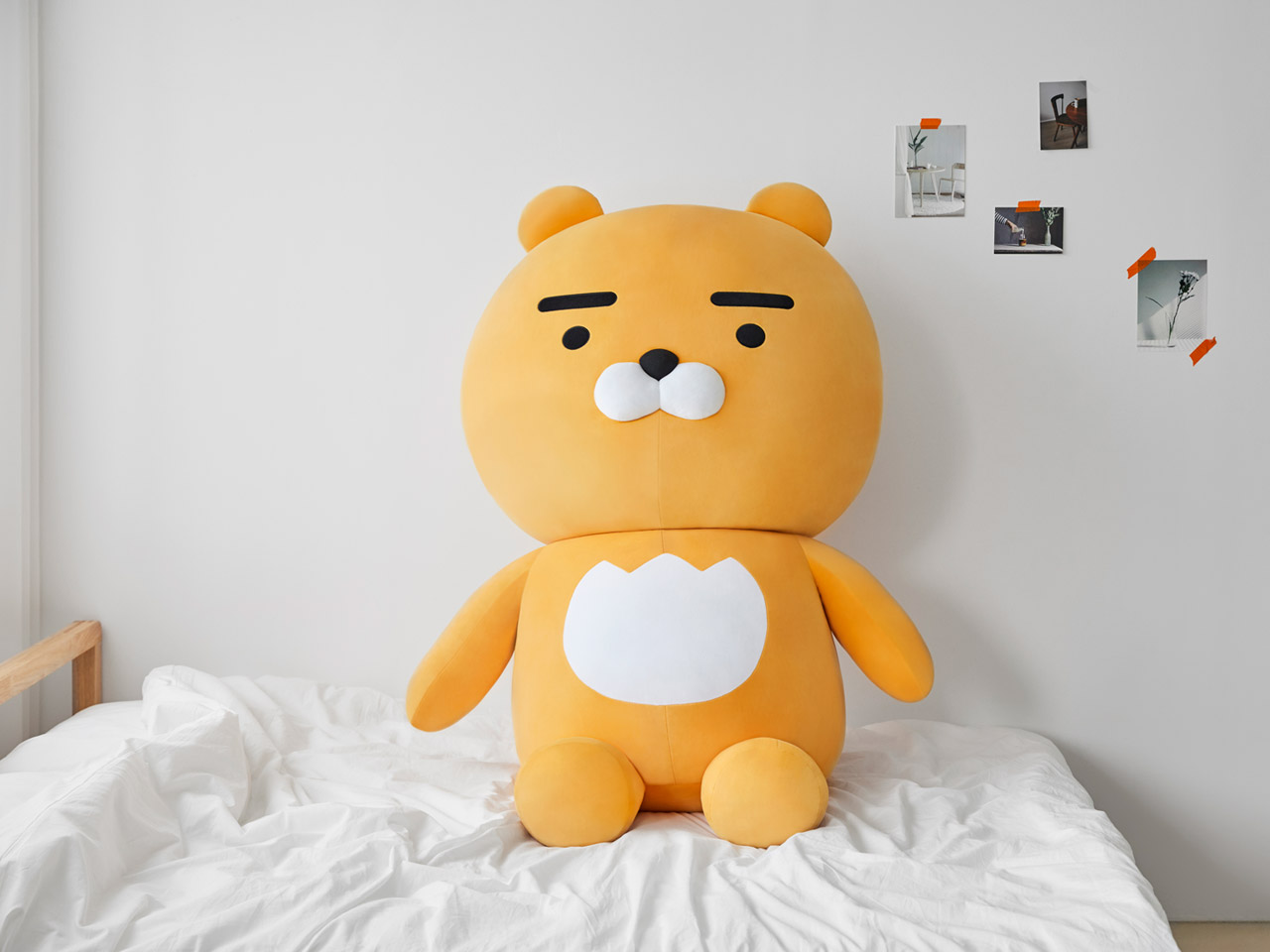 巨型 Ryan 布偶目前未在網路商店售出，標價₩320,000，展現其作為 Kakao Friends 高端商品的身份。