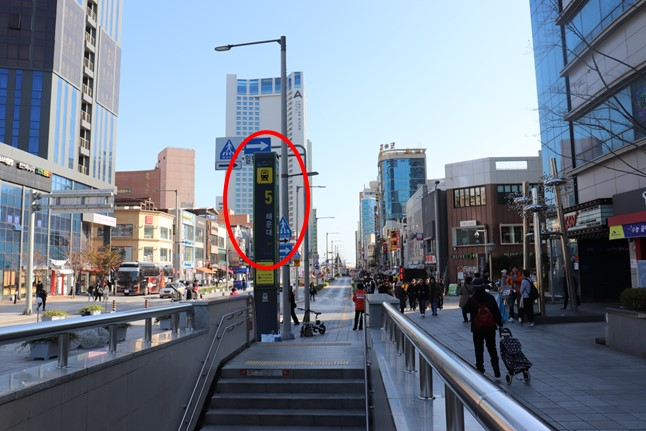 korea, busan, haeundae, gopchang, nakgopsae, shrimp, prawn, seafood, hotpot, octopus, century octopus, haeundae station, haeundae beach, food, korean food, busan food,