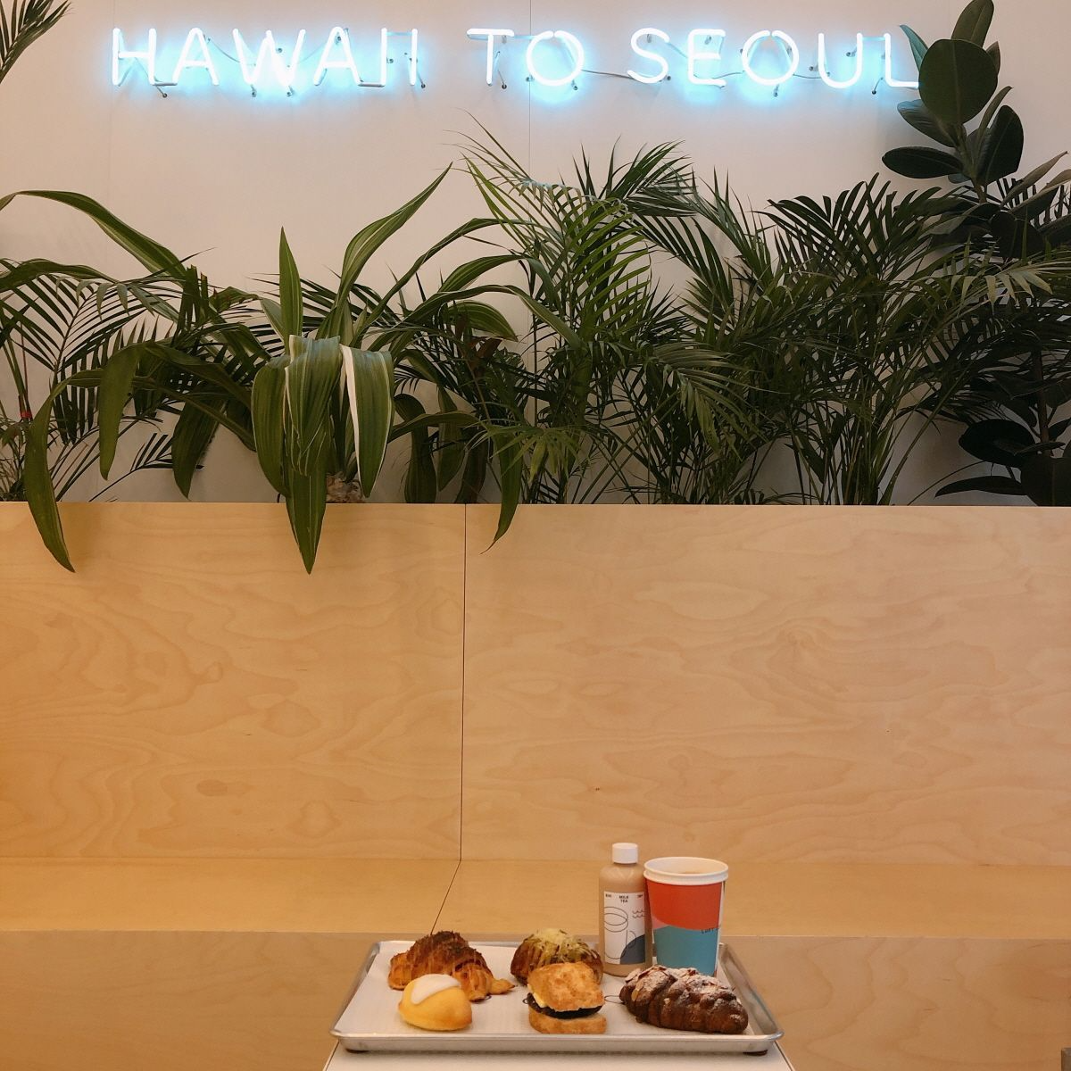 韓国カフェ、小さなハワイ、ソウルカフェ、明洞カフェ、ミョンドンカフェ、広いカフェ、ベーカリーカフェ、韓国ベーカリーカフェ、韓国パン屋、オシャレなパン屋、ルフトコーヒー