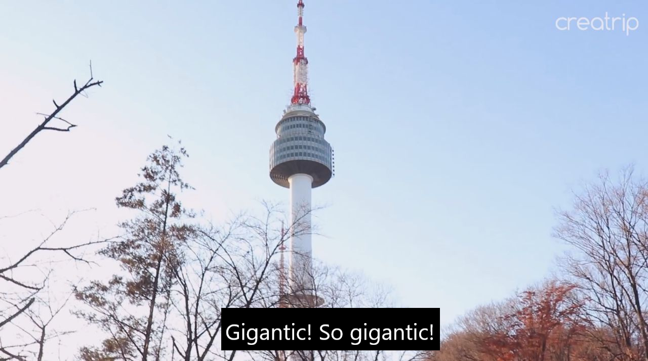 seoul, public transportation, bus, subway, euljiro, n seoul tower, namsan tower, namsan, foreigner, traveller, vacation