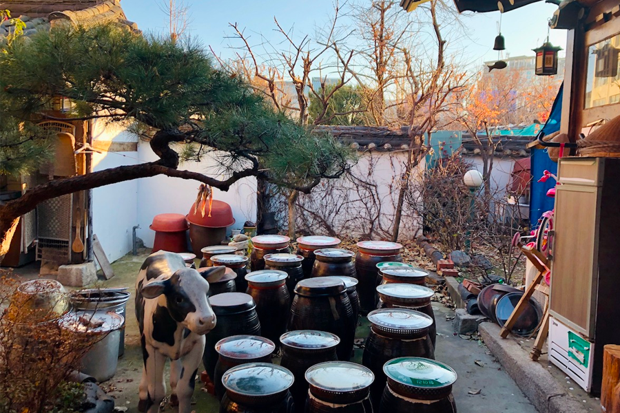 院子裡的韓國傳統塔和醬缸，四周裝點著綠植，展現出自然氛圍的一角。