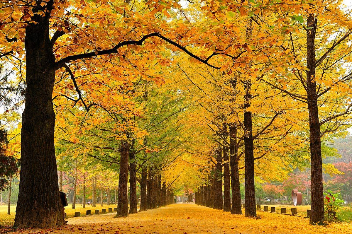 Spots Worth Only One Visit