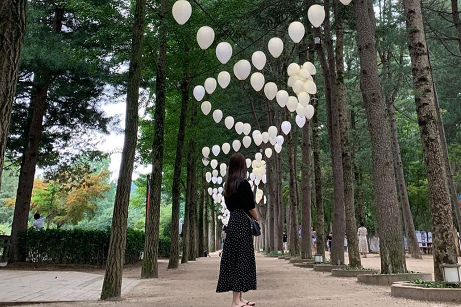 南怡岛的小路，两旁是高大的树木，树上挂满了白色球形灯笼。