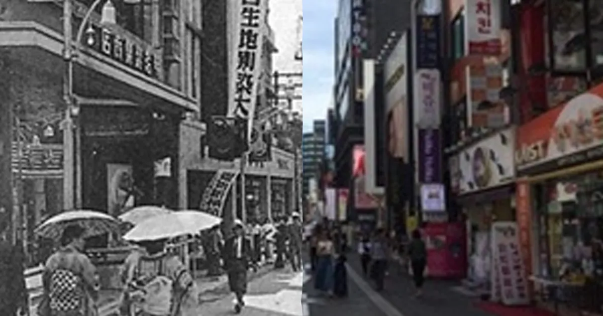 忠武路演員介紹，探索這一地區的文化人物和背景故事。」