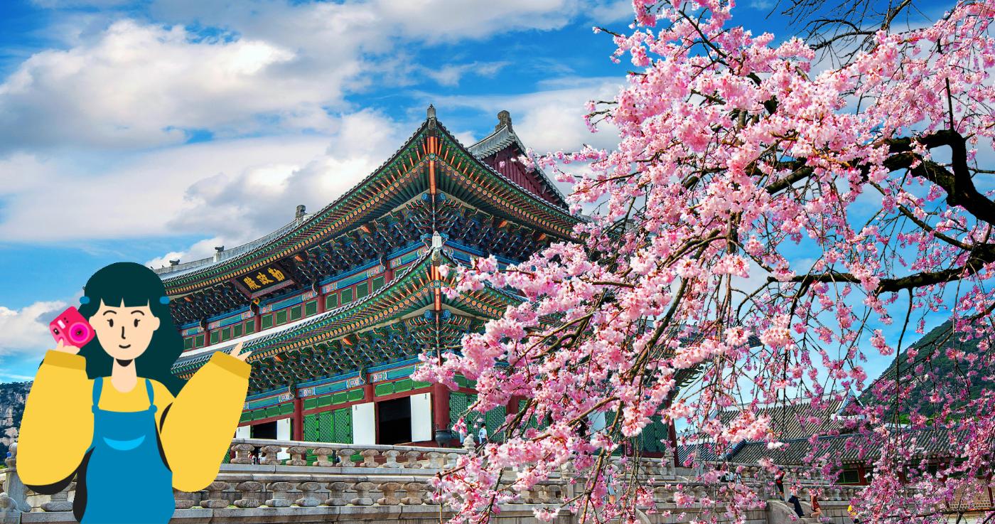 พยากรณ์ดอกพ็อดกด (ซากุระเกาหลี) ปี 2023 และจุดชมดอกพ็อดกดที่สวยที่สุดในเกาหลี