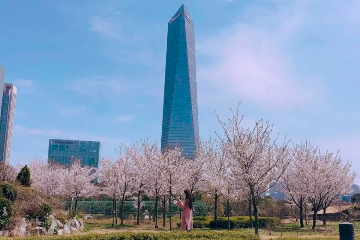 Songdo Central Park in Incheon with stunning cherry blossoms framing the high-rise cityscape.