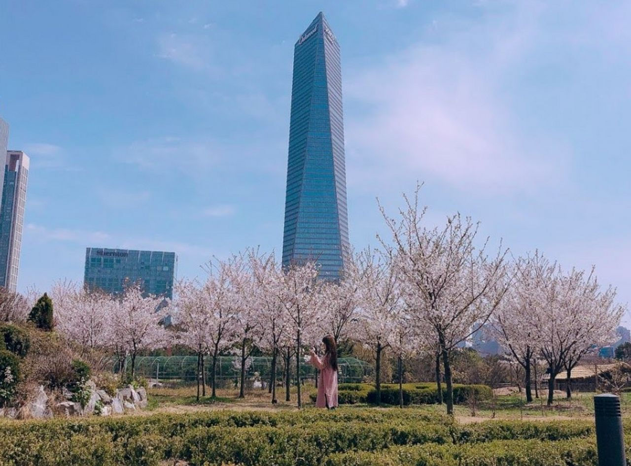 Creatrip 2022 Cherry Blossoms in Korea