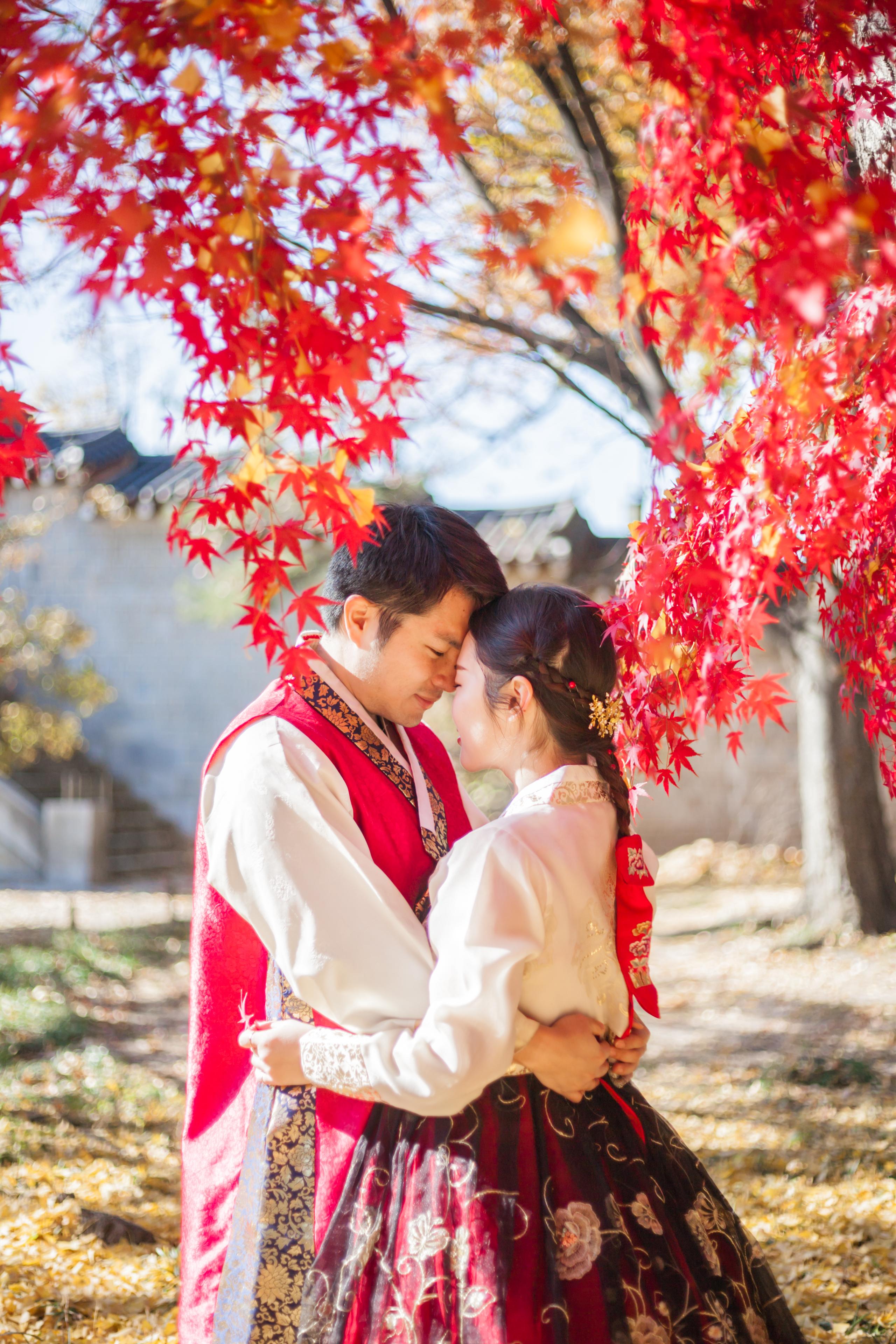 韓服を着た女性が桜の花を触れる様子