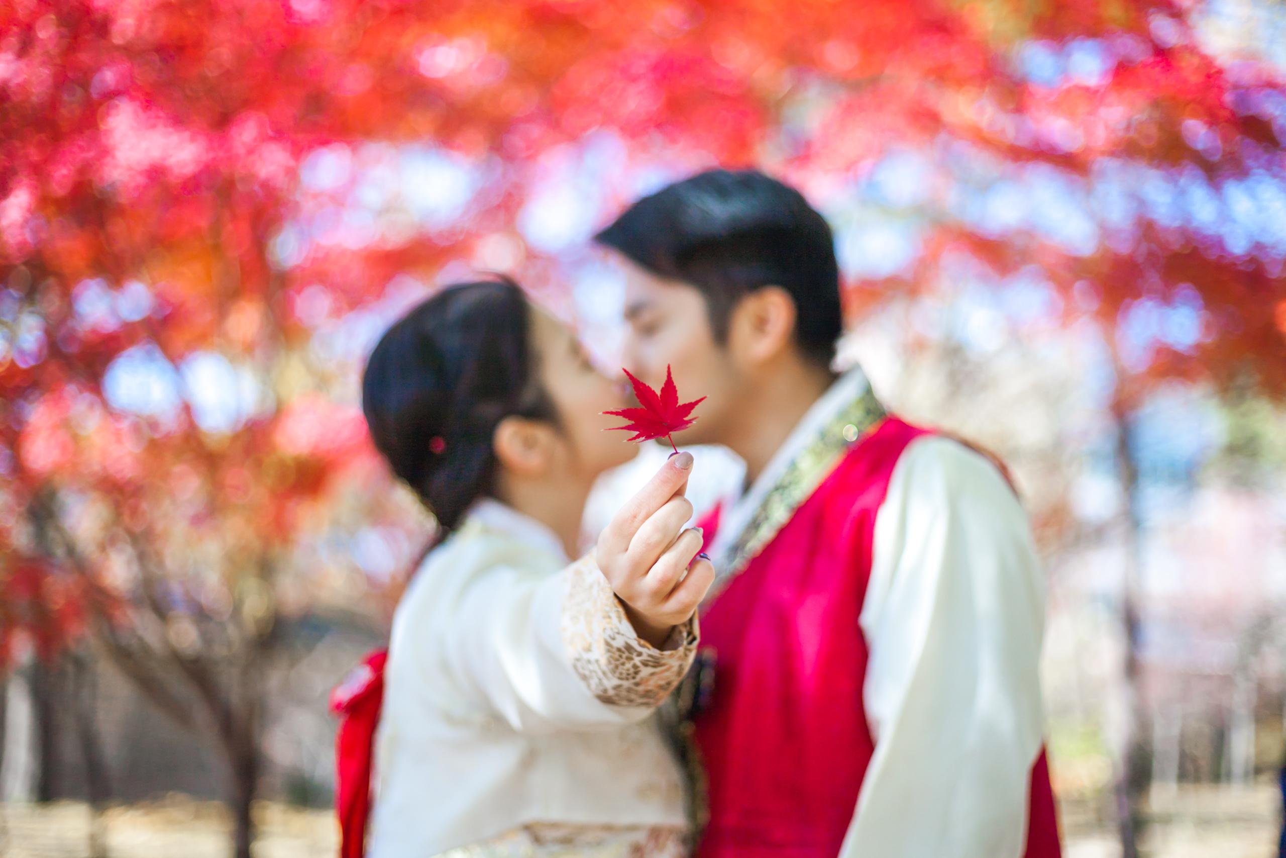 紅葉の下で韓服姿の二人が寄り添うロマンチックな光景