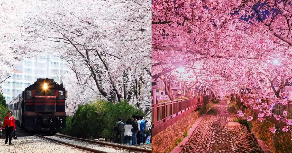 2025镇海军港节时间/必去景点懒人包