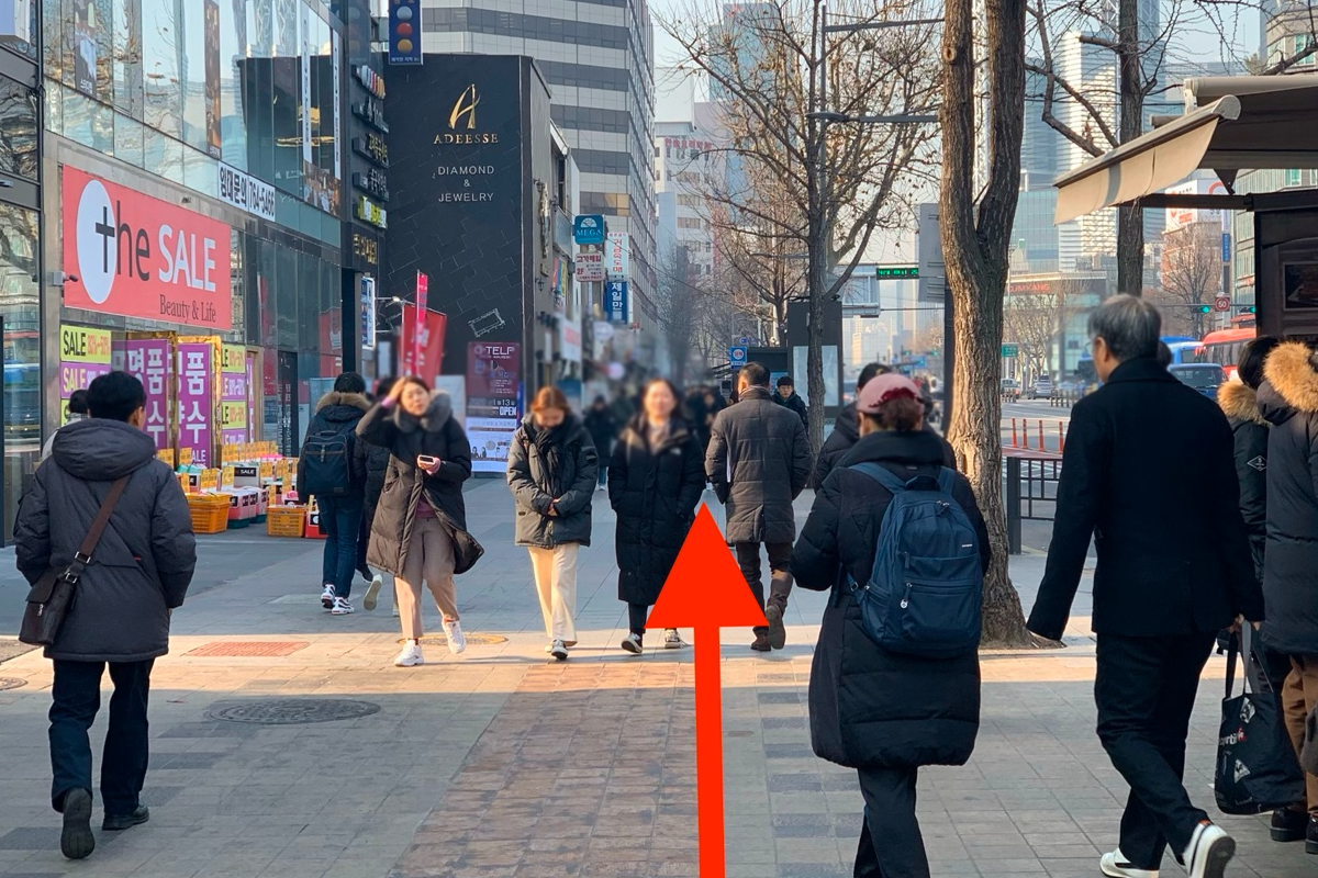 街道上繁忙的人羣沿著道旁行走，冬季時節樹木葉落滿地。