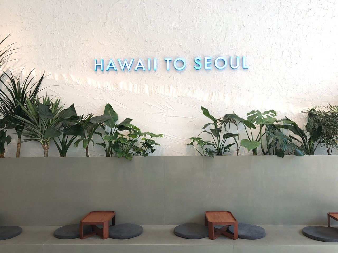 ソウルカフェ、韓国カフェ、美味しいお店、デザートカフェ、カンファムンカフェ、チョンガクカフェ、明洞カフェ、ルフトコーヒー、Luft Coffee