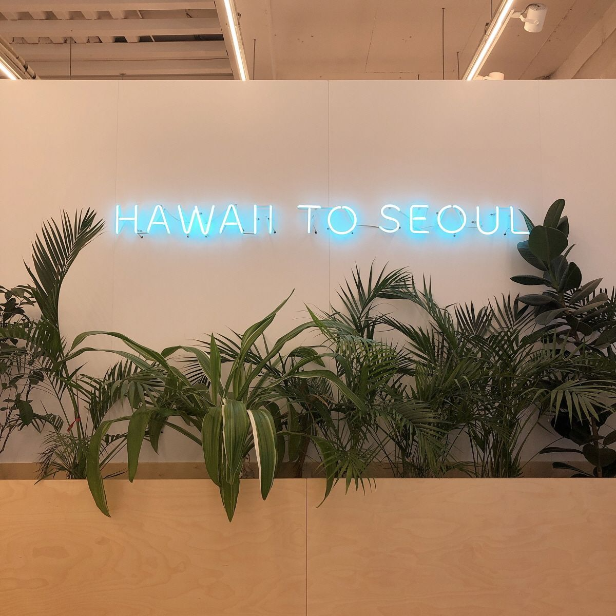 ソウルカフェ、韓国カフェ、美味しいお店、デザートカフェ、カンファムンカフェ、チョンガクカフェ、明洞カフェ、ルフトコーヒー、Luft Coffee