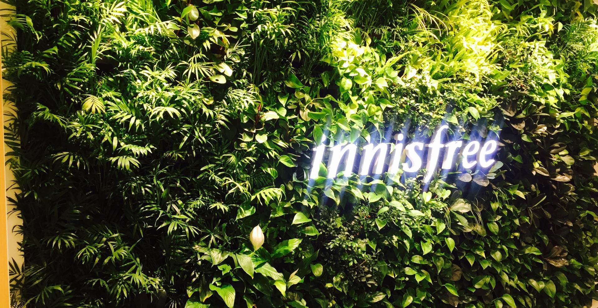 ผลิตภัณฑ์ จาก Innisfree ที่สาวเกาหลีเลือก-thumbnail