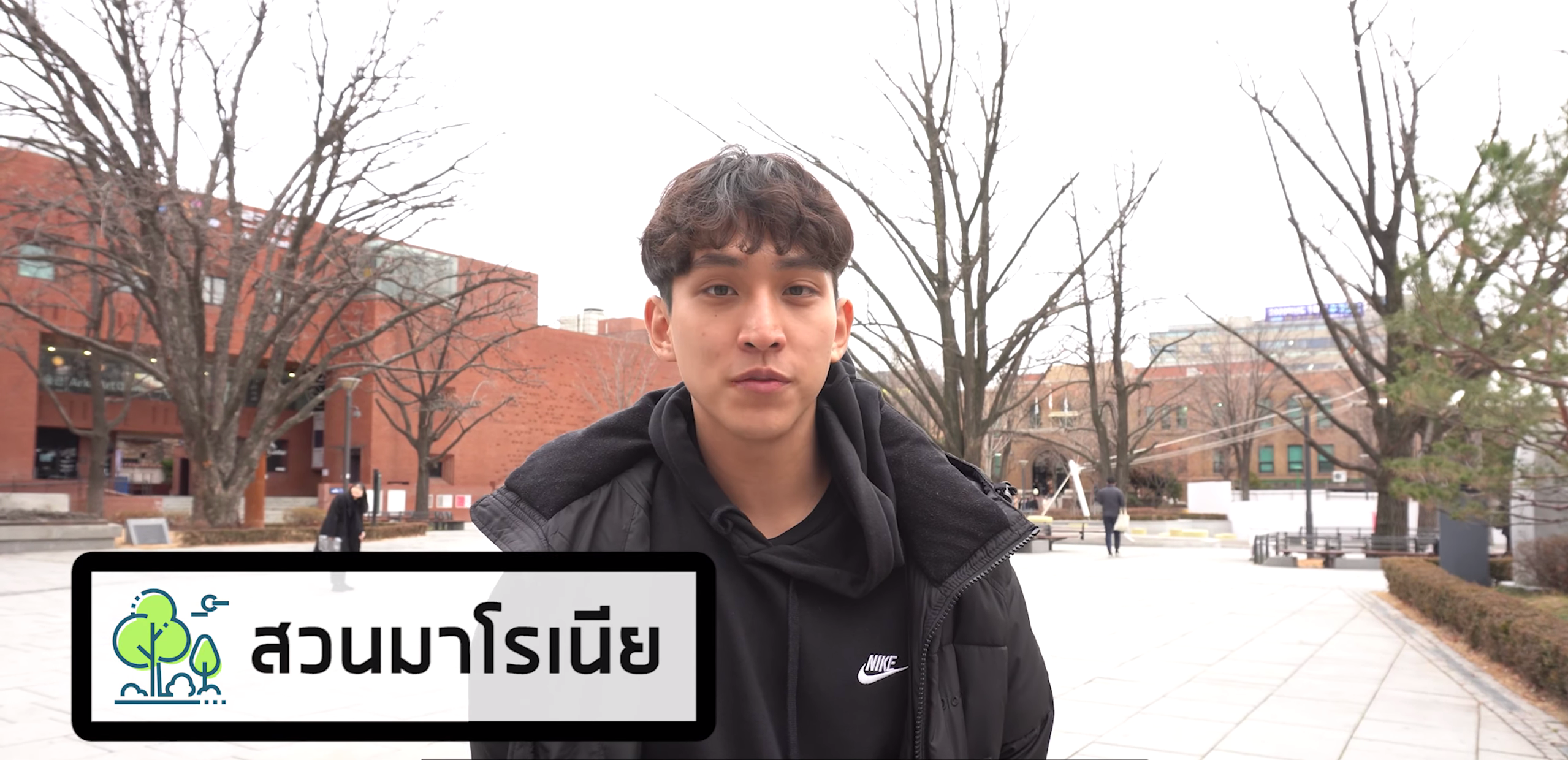 ทริปเที่ยวแทฮังโน แนะนำสำหรับผู้ที่เป็นมาสเตอร์ในการเที่ยวโซล!