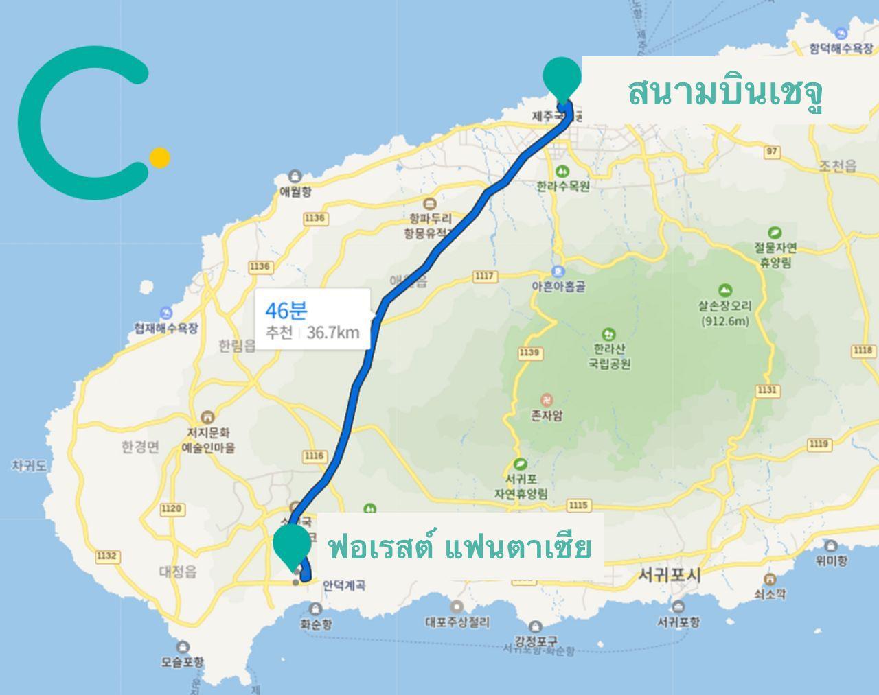 ฟอเรสต์ แฟนตาเซีย | เพลิดเพลินไปกับวิวยามค่ำคืนที่งดงามของเชจูในสวนแสนสวย