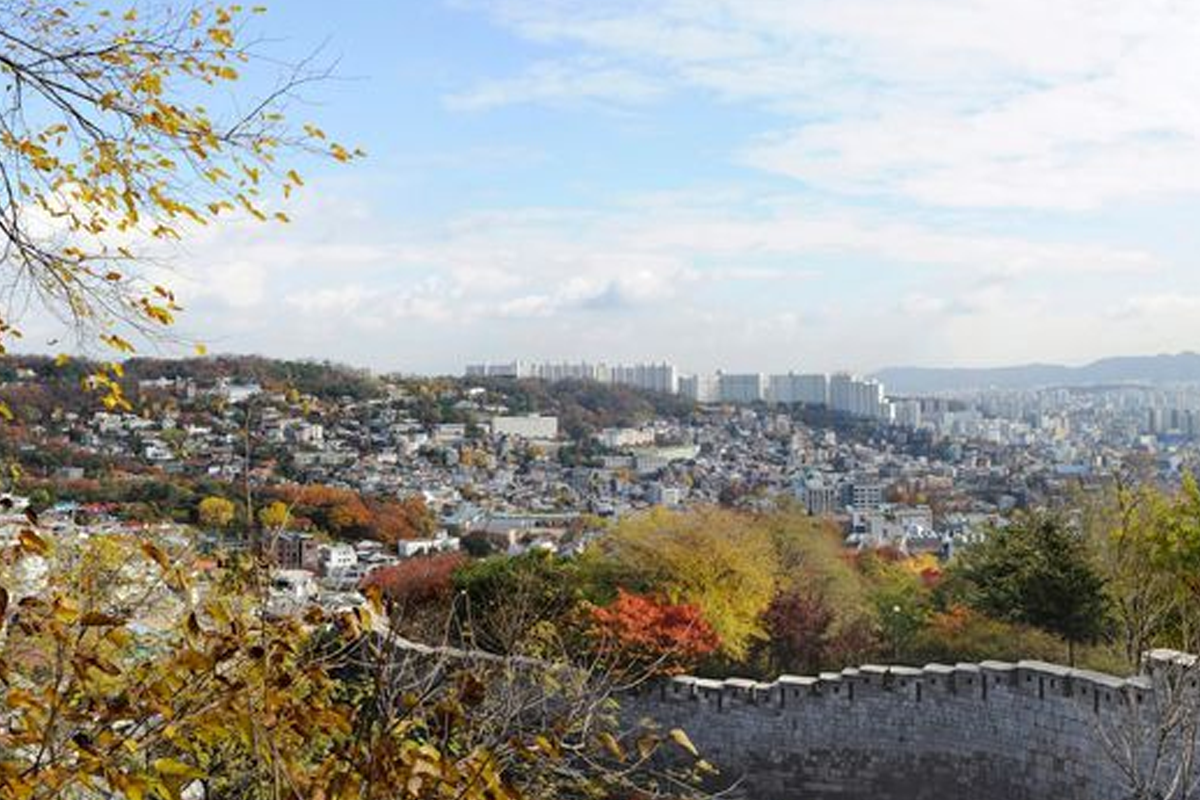 韓國Green Day，在山林中約會的情侶分享沉浸於自然的舒適感。