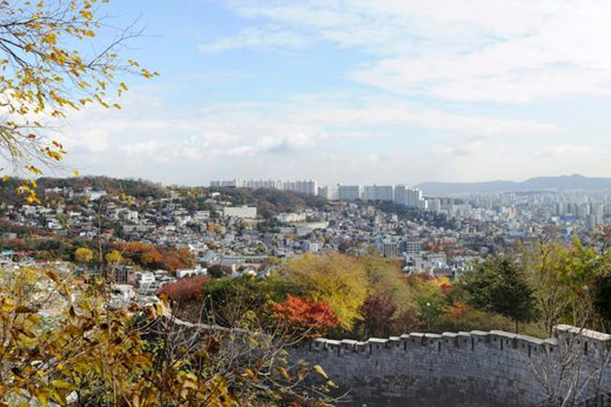 韓國情侶在綠色情人節享受山間約會