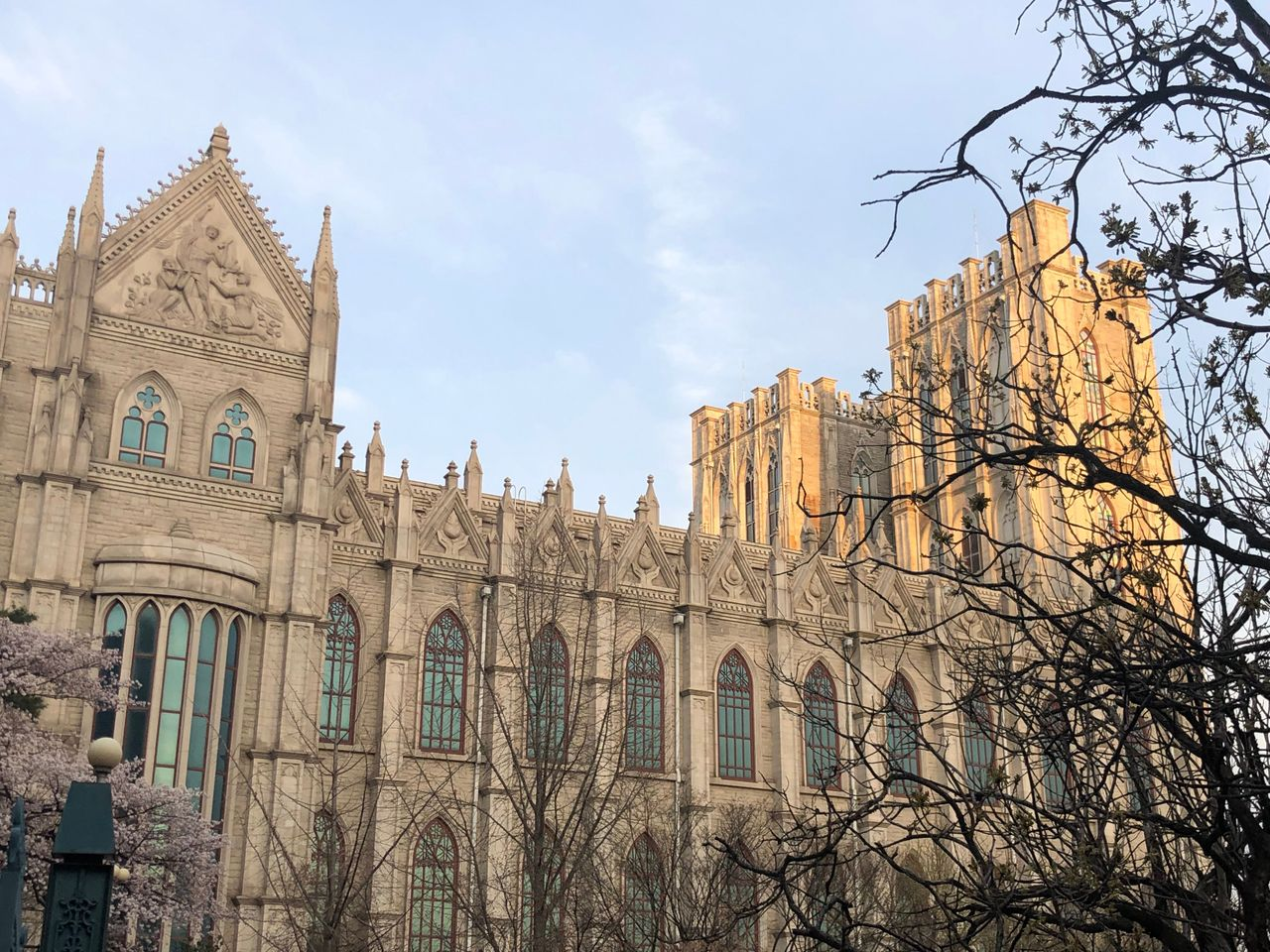 เพื่อป้องกันการแพร่ระบาดของไวรัสโคโรนา มหาวิทยาลัยคยองฮีปิดให้นักท่องเที่ยวเข้าชม!