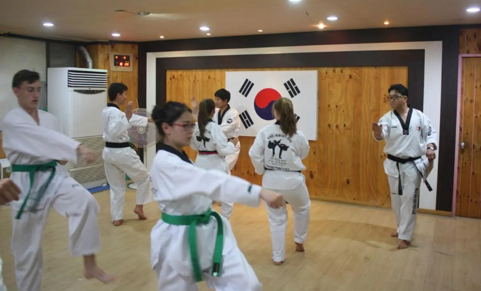 代訂｜大邱實戰戰鬥跆拳道班