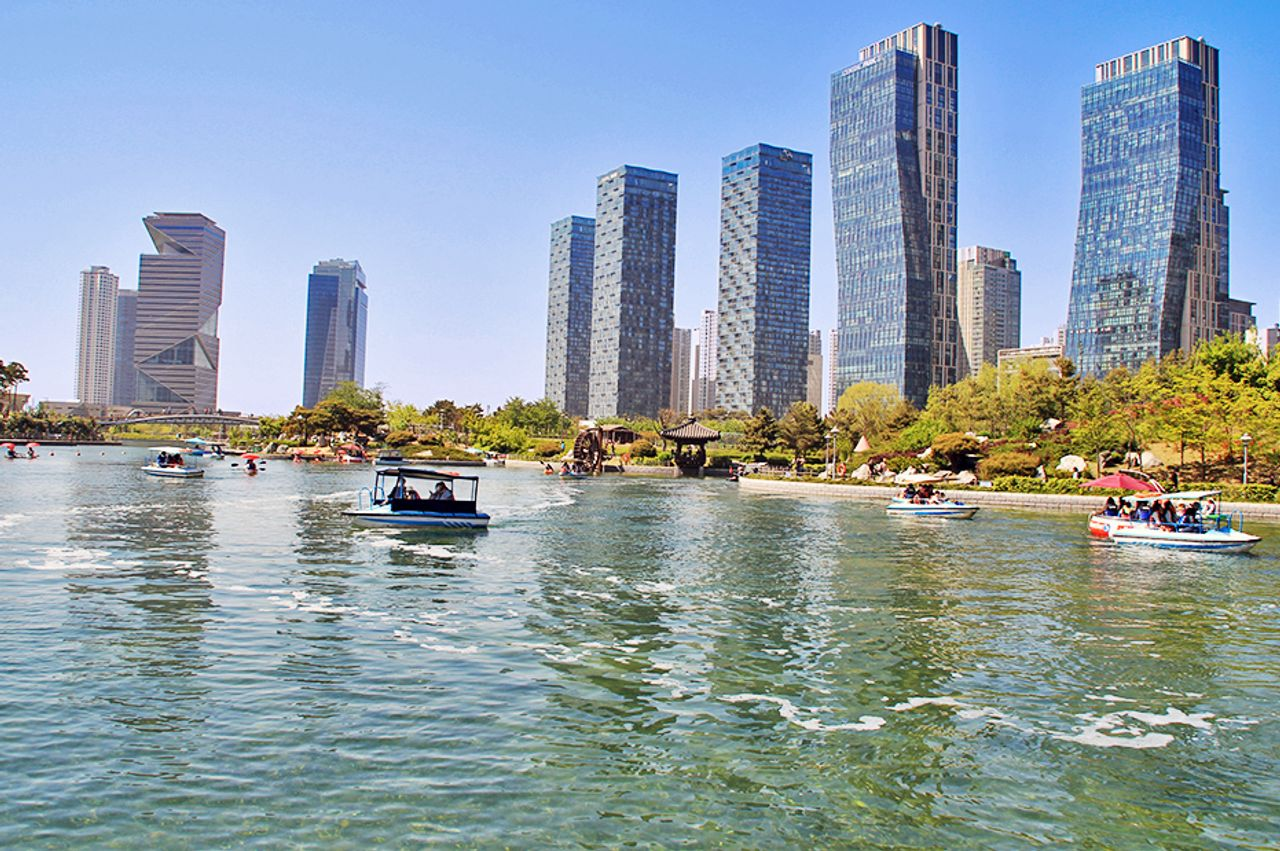 仁川 お花見 桜 お花見ツアー インチョン 桜の名所 韓国旅行