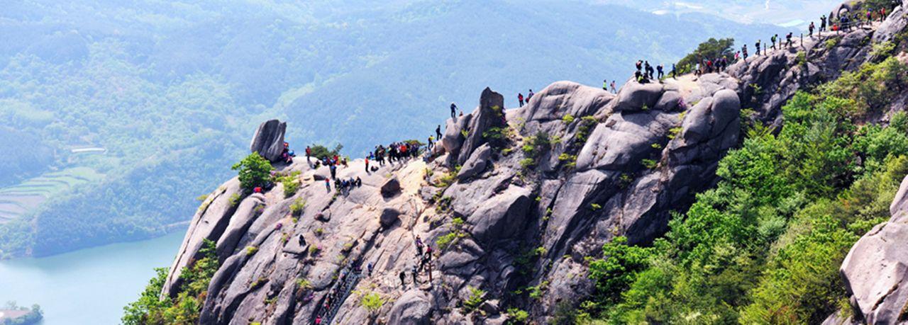 ファンメサンつつじ祭りツアー  詳細