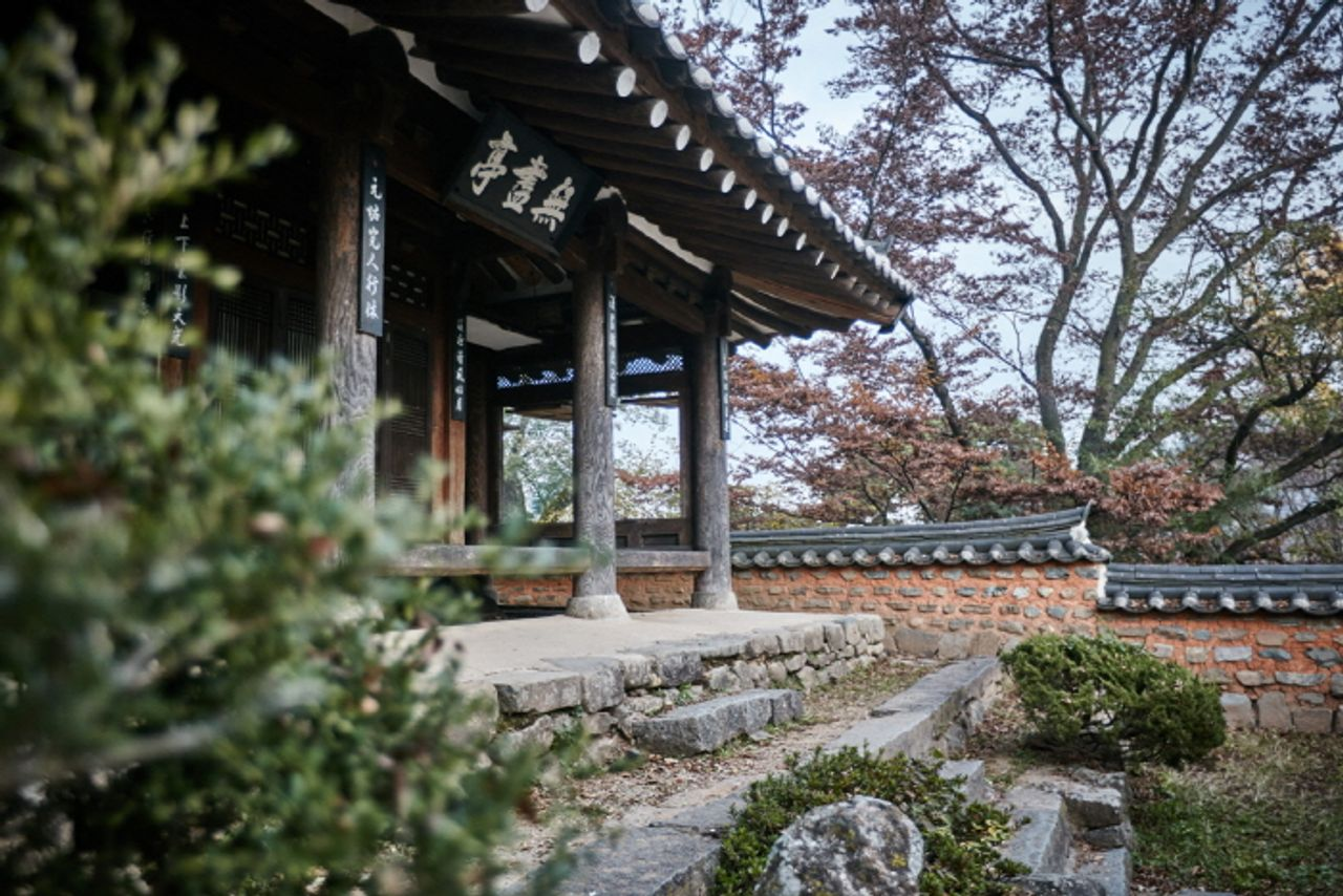 ファンメサンつつじ祭りツアー、黄梅山ツアー、つつじ祭り、お花見、韓国お花見、韓国絶景、晋州城、チンジュソン、無盡亭、ムジンジョン、プサンツアー、プサンお花見、一日ツアー