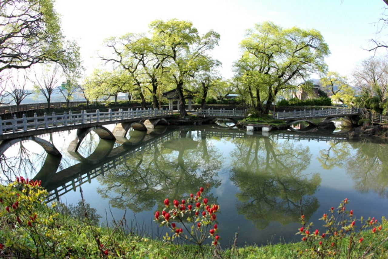 ファンメサンつつじ祭りツアー、黄梅山ツアー、つつじ祭り、お花見、韓国お花見、韓国絶景、晋州城、チンジュソン、無盡亭、ムジンジョン、プサンツアー、プサンお花見、一日ツアー