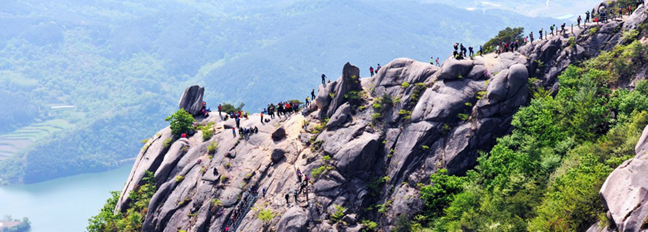 ファンメサンつつじ祭りツアー、黄梅山ツアー、つつじ祭り、お花見、韓国お花見、韓国絶景、晋州城、チンジュソン、無盡亭、ムジンジョン、プサンツアー、プサンお花見、一日ツアー