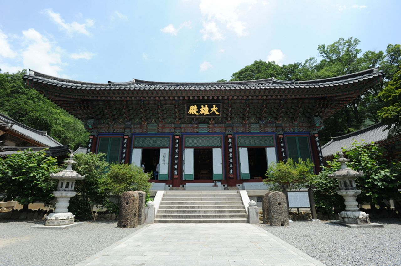 韓国お花見、プサンお花見、桜の名所、一日ツアー、ハドン旅行、お花見ツアー、プサン桜、プサン旅行、ハドン桜ツアー、絶景、十里桜並木、花開市場、韓国伝統市場