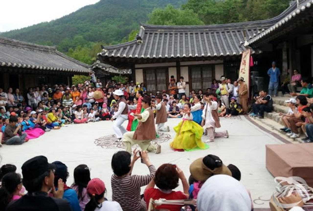 韓国お花見、プサンお花見、桜の名所、一日ツアー、ハドン旅行、お花見ツアー、プサン桜、プサン旅行、ハドン桜ツアー、絶景、十里桜並木、花開市場、韓国伝統市場