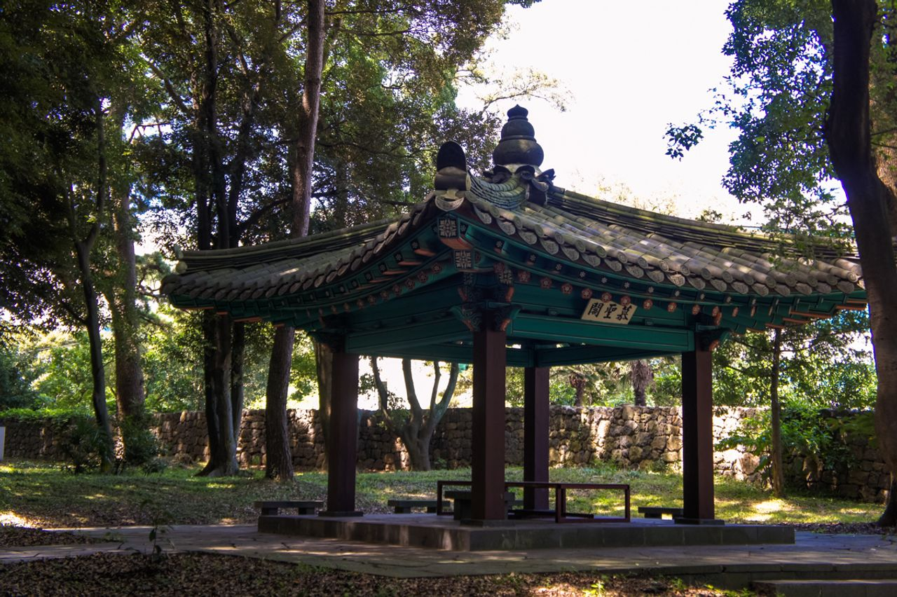 済州お花見、チェジュ観光、チェジュ絶景、チェジュの桜&菜の花ツアー、チェジュツアー、チェジュ一日ツアー、チェジュ旅行