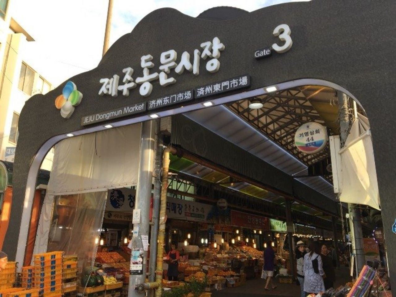 済州お花見、チェジュ観光、チェジュ絶景、チェジュの桜&菜の花ツアー、チェジュツアー、チェジュ一日ツアー、チェジュ旅行