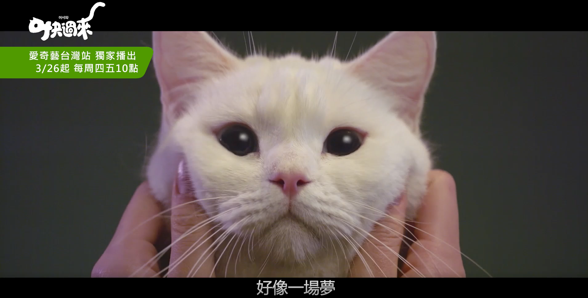 นั่งดูซีรีส์อยู่บ้านกัน! ซีรีส์ 4 เรื่องของเดือนมีนาคมที่กำลังเป็นประเด็นร้อนในกลุ่มคนเกาหลี จองแฮอิน ซอคังจุน คิมซอฮยองและ L หวนคืนจอ!