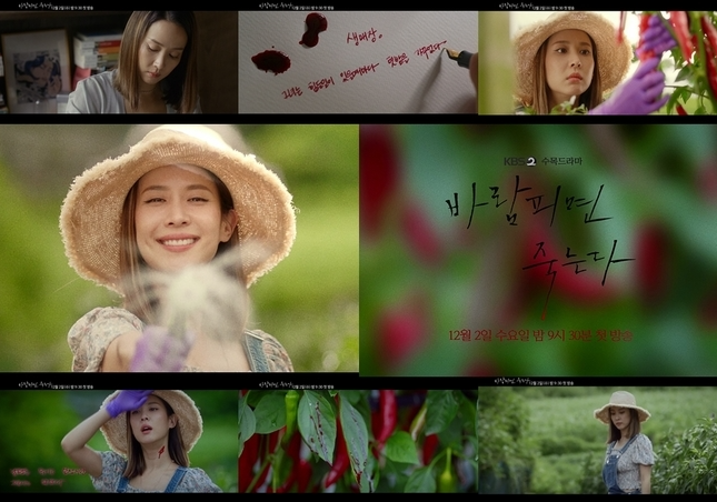 韓国ドラマ『浮気したら死ぬ』の一場面。庭の中で自然を楽しむキャラクター達が優雅でミステリアスな雰囲気を漂わせているシーン。