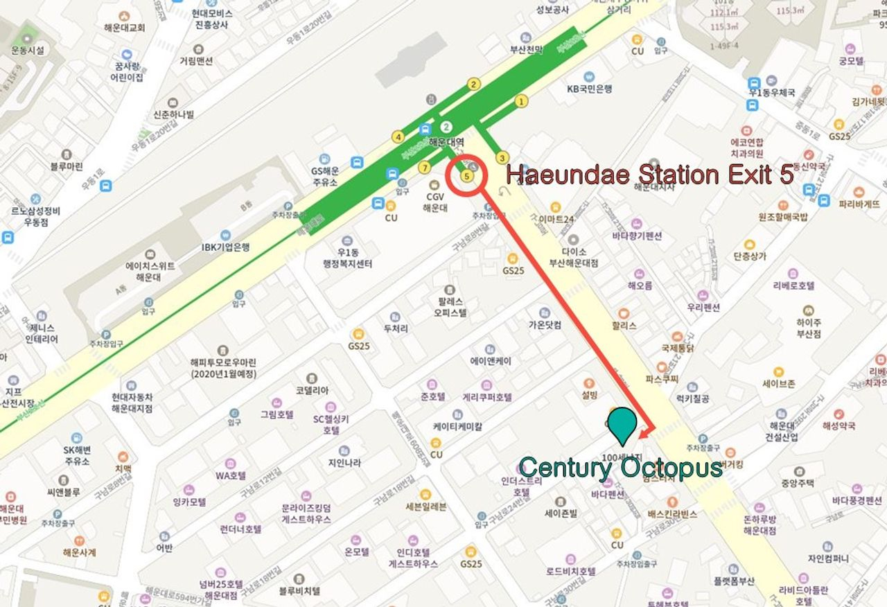 プサン ヘウンデ プサン旅行 ナッコプセ プサン名物 プサン料理 ヘウンデ美味しいお店 プサン美味しいお店