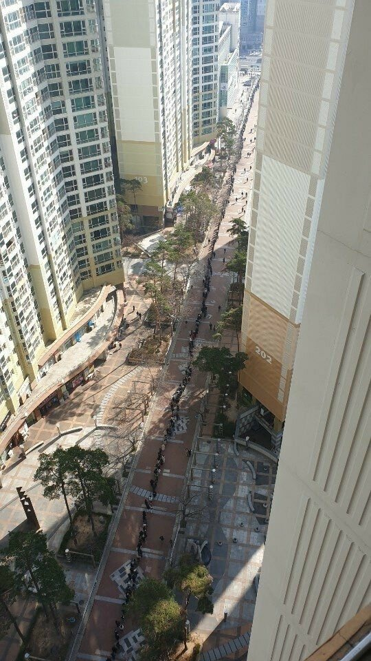 廣角俯瞰攝影，顯示韓國大邱市區高層建築之間的長長隊伍，民眾排隊等待，因應口罩短缺情況而呈現的景象。