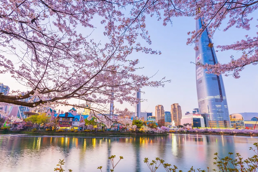 韓國春季 賞花 花卉種類 開花 2025