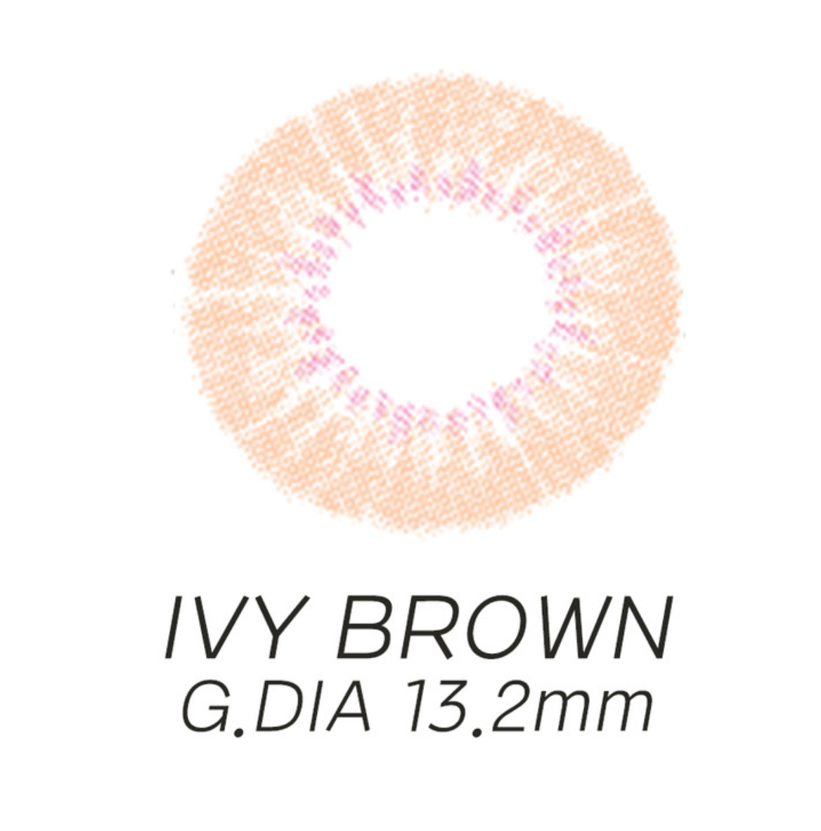 แบบคอนแทคเลนส์ Ivy Brown แสดงรายละเอียด G.DIA 13.2mm