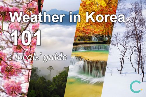 Complete guide on Korea's weather | Temperature, clothing, places and more!