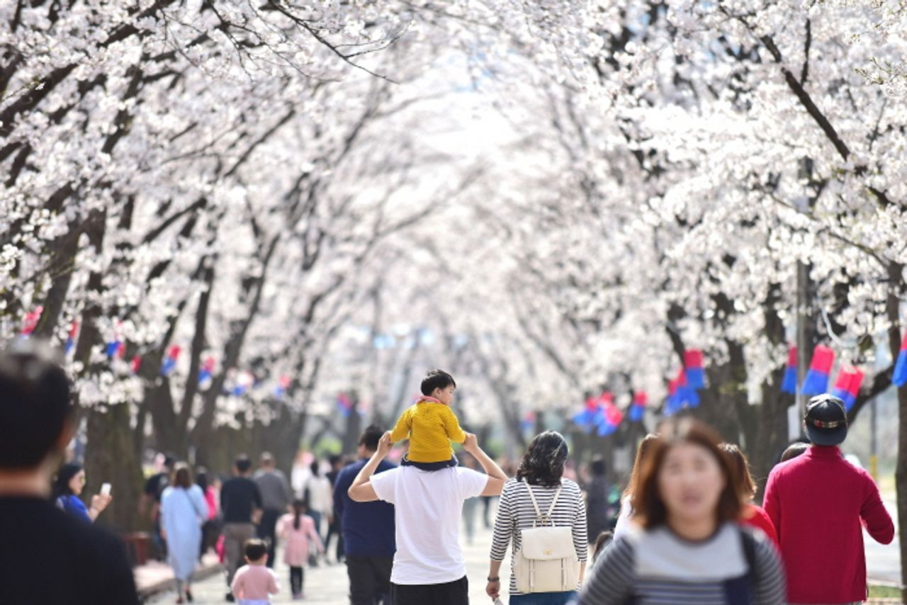 Complete guide on Korea