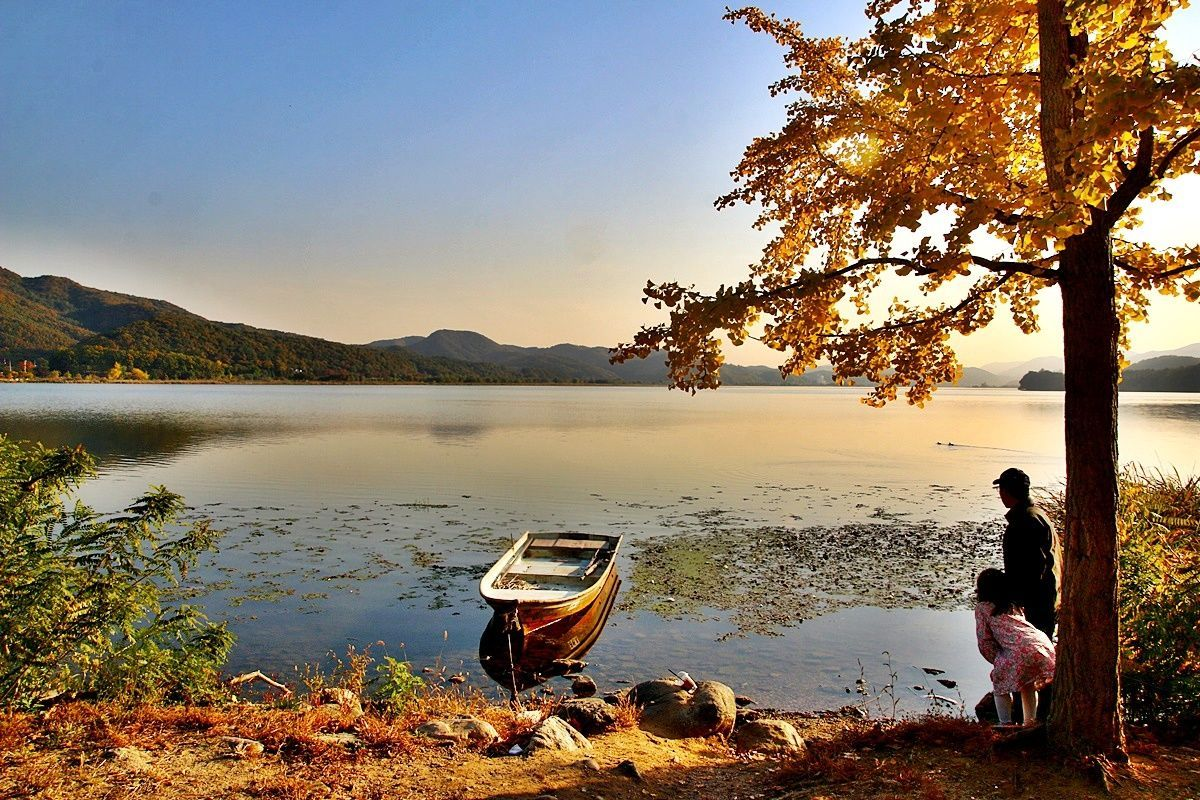 Guía completa sobre el clima de Corea | Temperatura, ropa, lugares y más!