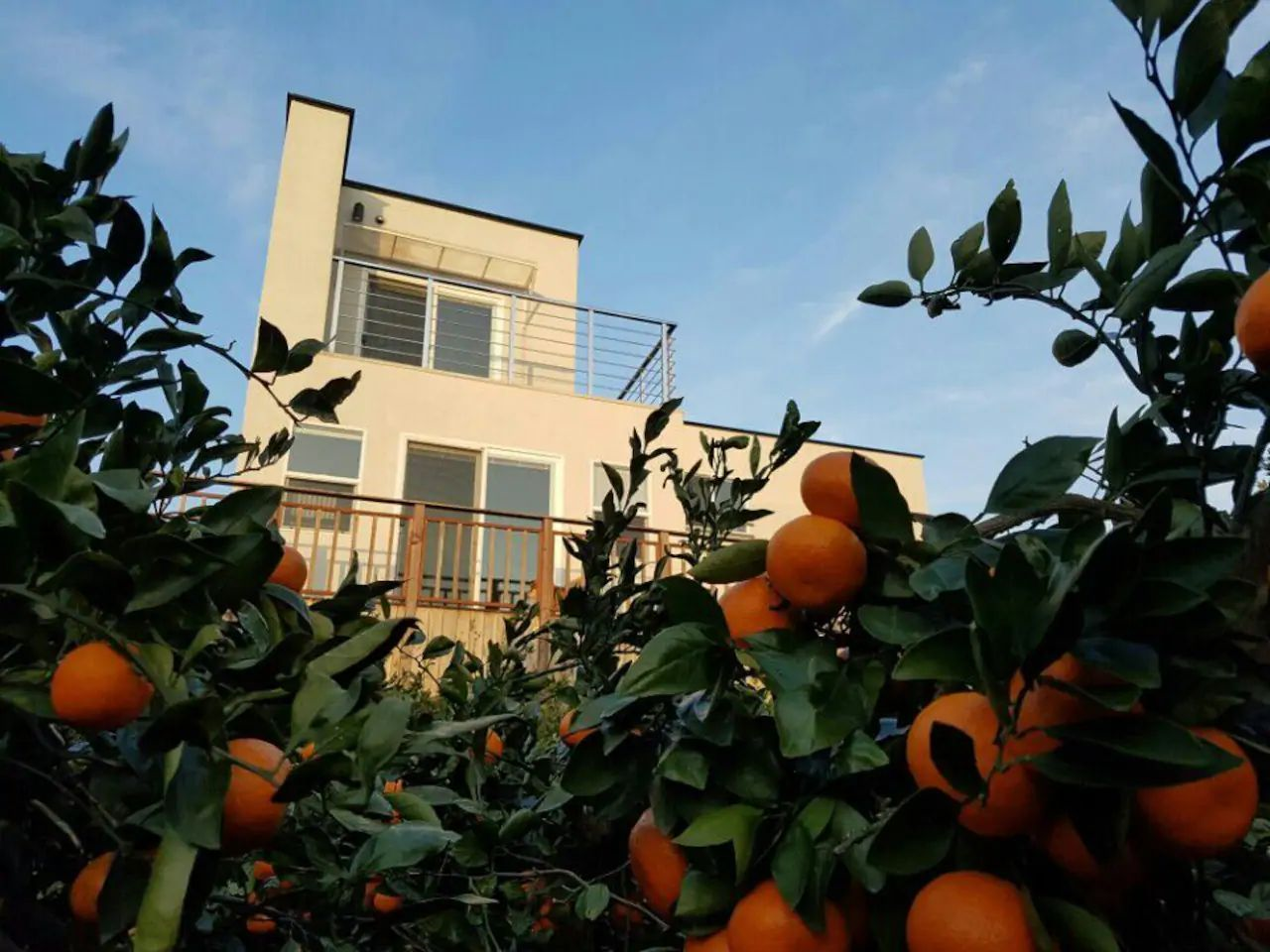 Unique accommodations in Jeju that will complete your island experience!