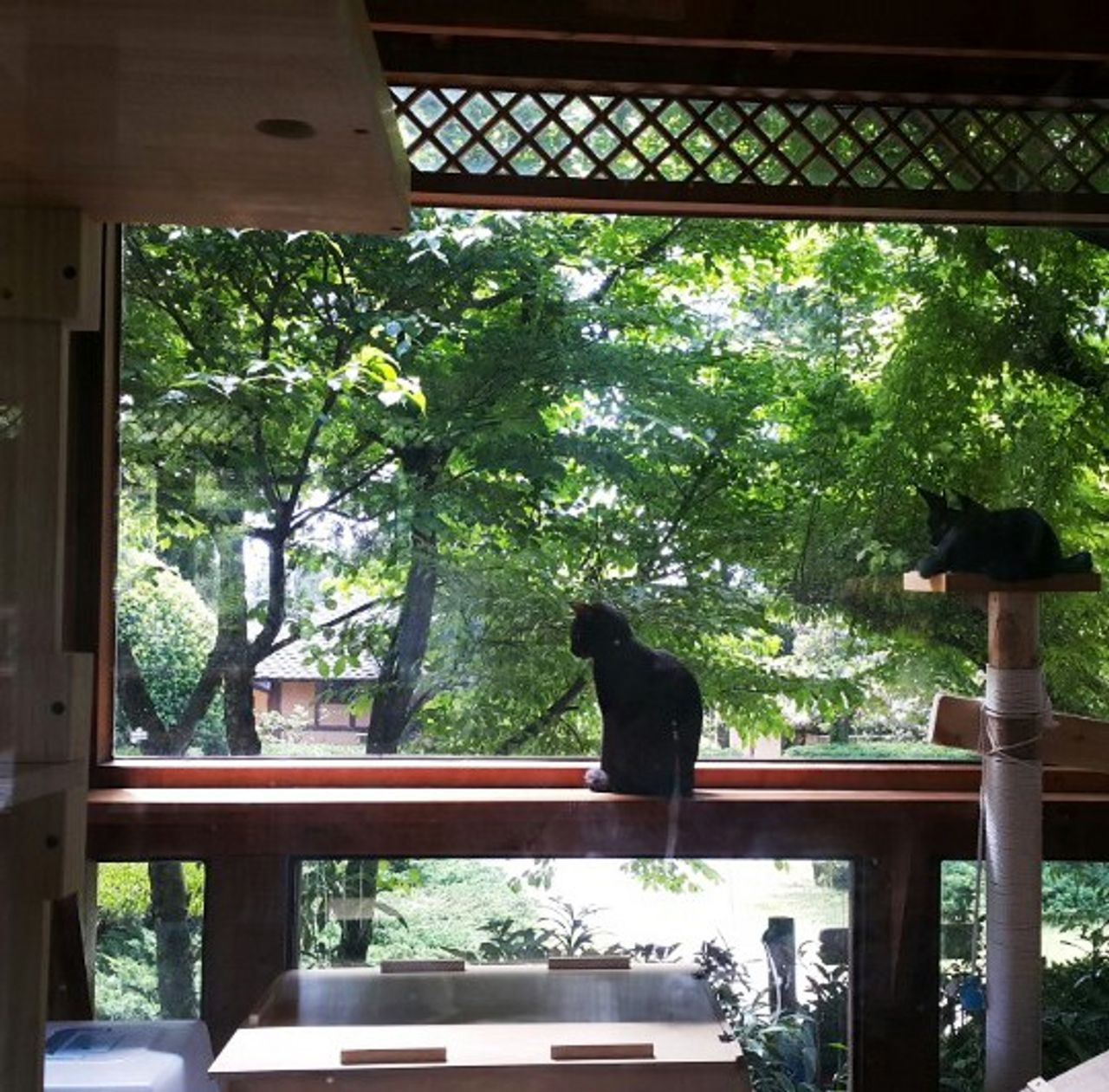 Unique accommodations in Jeju that will complete your island experience!