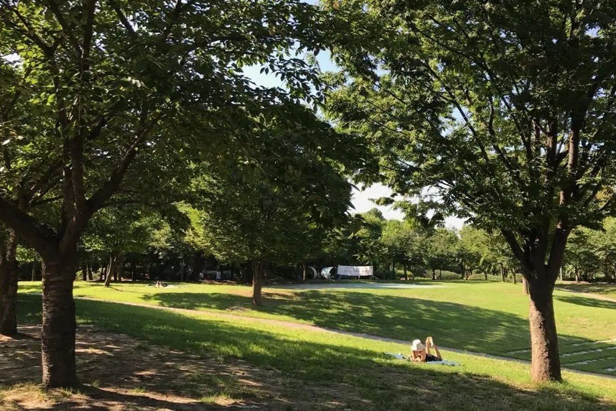 首爾地鐵2號線 二號線行程 交通 首爾地鐵 行程怎麼走