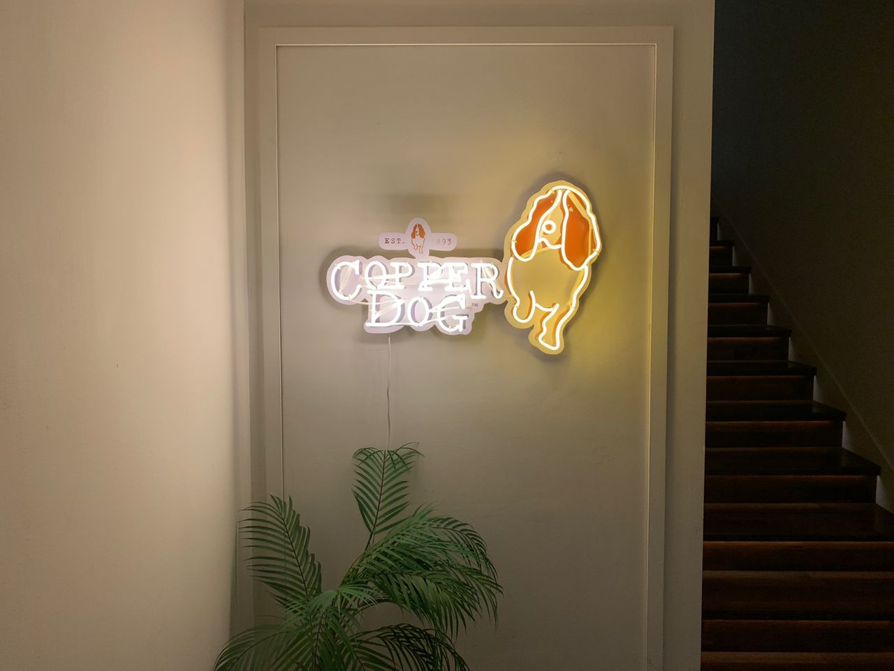 The Finest、ザファイネスト、梨泰院クラス、梨泰院美味しいお店、イテウォン観光、ソウル美味しいお店、ソウル観光、ソウル名所、韓国名所、韓国観光、韓国居酒屋、ソウル居酒屋、イテウォンカクテル、イテウォンデート