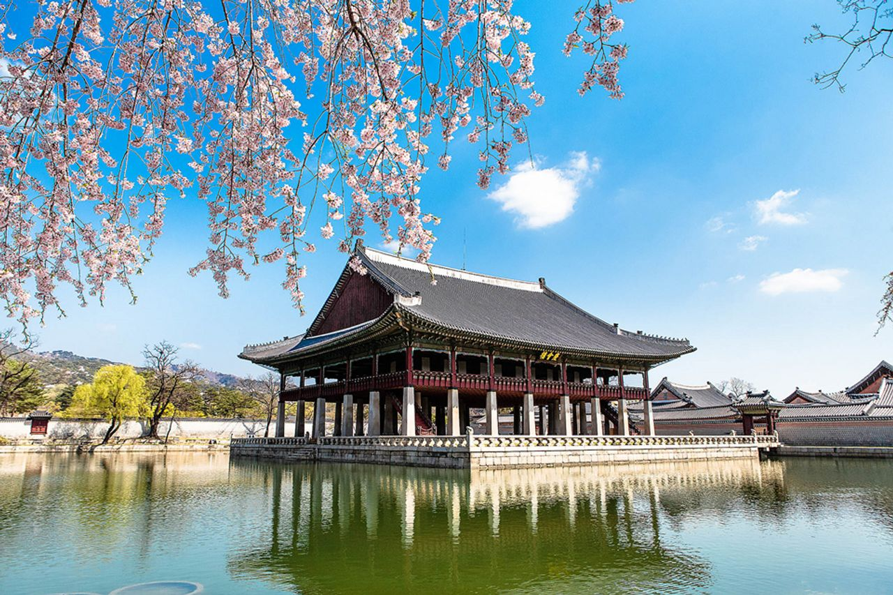 GYEONGBOKGUNG | Creatrip Locals