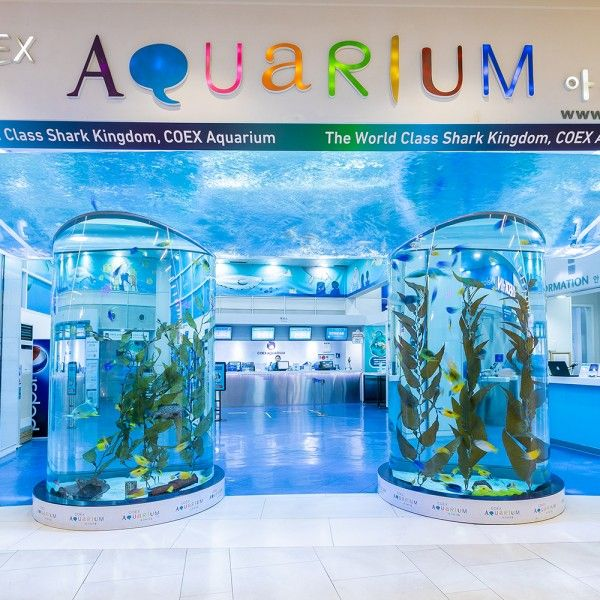 Coex 江南 江南Coex 韓国旅行 ソウル SM