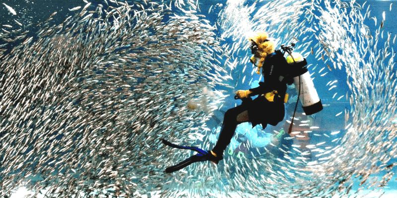 Coex 江南 江南Coex 韓国旅行 ソウル SM