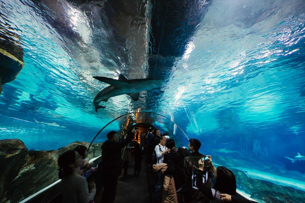 Coex 江南 江南Coex 韓国旅行 ソウル SM